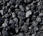 Coal